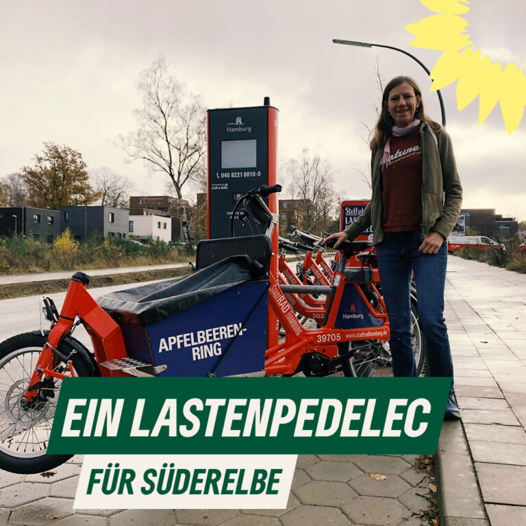 Stadtrad-Lastenpedelec in Süderelbe