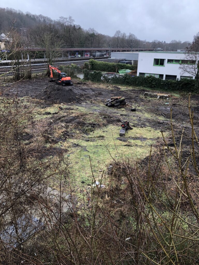 Fläche des ehemaligen Nachbarschaftsgartens Neuwiedenthal für den Umwelt- und Tierschutz sichern