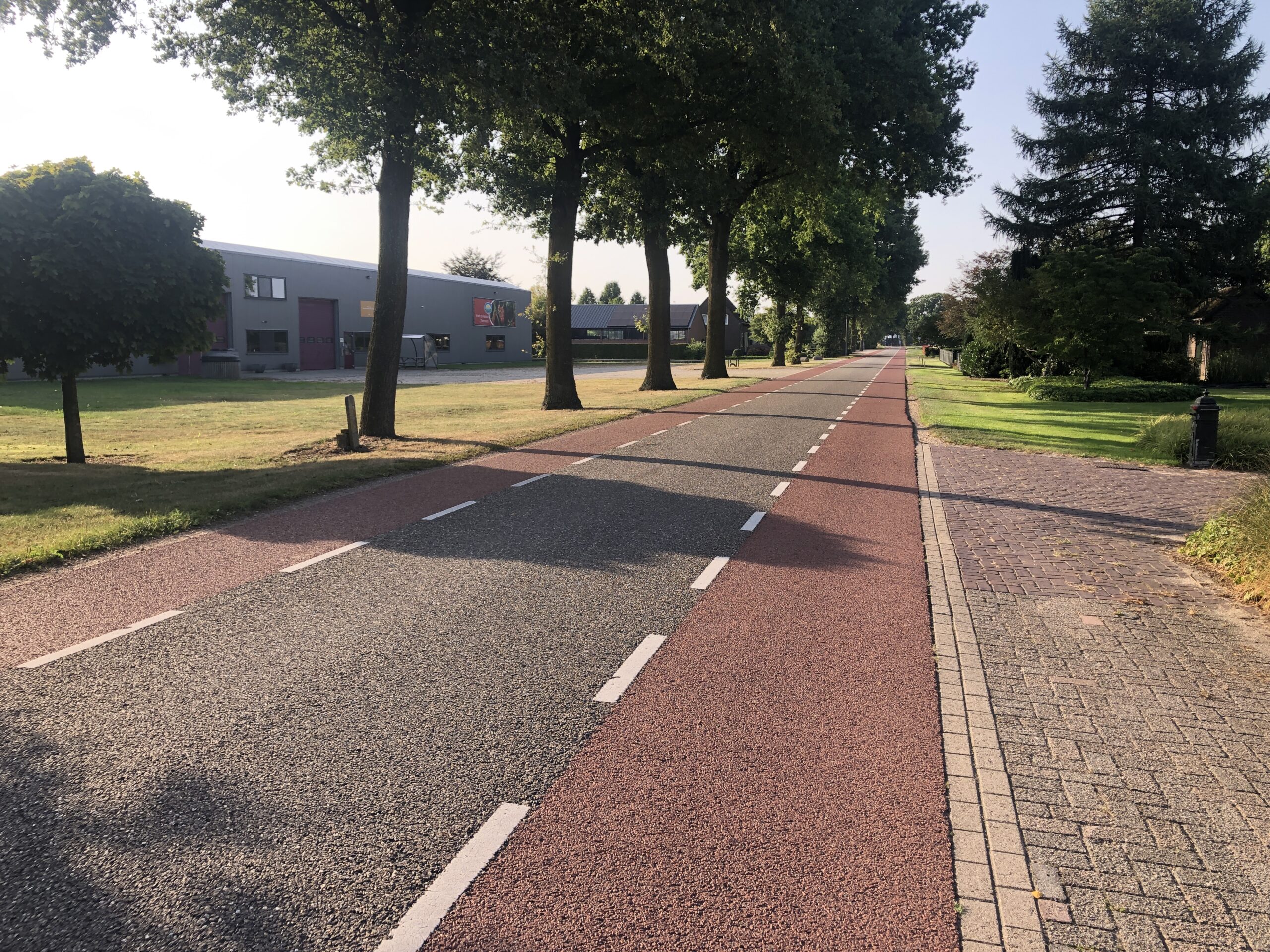 Man sieht eine einspurige Autofahrbahn und breite markierte Schutzstreifen für Fahrräder links und rechts. Links säumen Bäume die Straße. Die Fahrradschutzstreifen sind mit gestrichelter Linie und roter Farbe gut erkennbar.